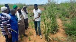 Cross-Border Community Resilience Project programme activity